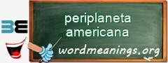 WordMeaning blackboard for periplaneta americana